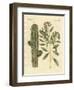 Medical Plants-null-Framed Giclee Print