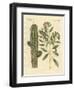 Medical Plants-null-Framed Giclee Print