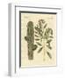 Medical Plants-null-Framed Giclee Print