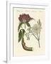 Medical Plants-null-Framed Giclee Print