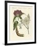 Medical Plants-null-Framed Giclee Print