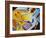 Medical Still Life-Chris Rogers-Framed Photographic Print