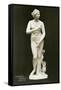 Medici Venus-null-Framed Stretched Canvas