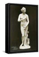 Medici Venus-null-Framed Stretched Canvas