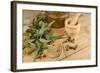 Medicinal Eucalyptus-Hemeroskopion-Framed Photographic Print