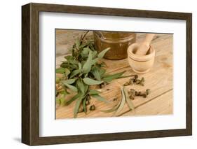 Medicinal Eucalyptus-Hemeroskopion-Framed Photographic Print