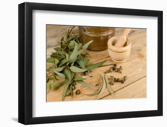 Medicinal Eucalyptus-Hemeroskopion-Framed Photographic Print