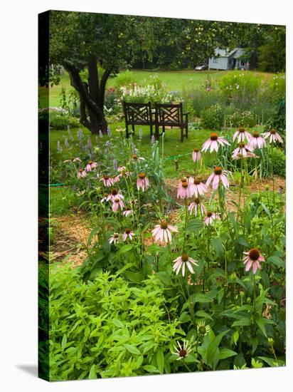 Medicinal Garden, Oakland House Seaside Resort, Brooksville-Jerry & Marcy Monkman-Stretched Canvas