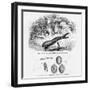 Medicinal Leech-null-Framed Art Print