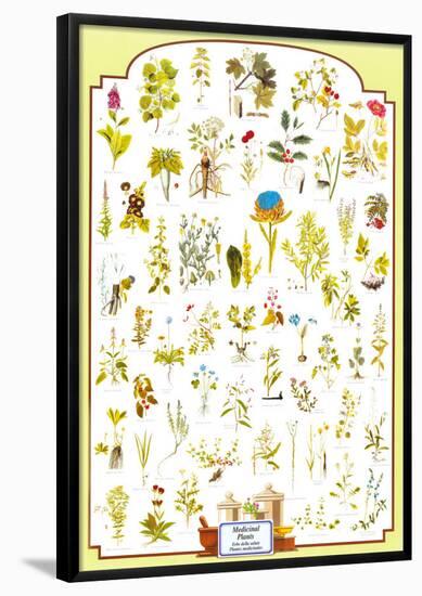 Medicinal Plants-null-Framed Poster