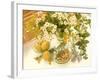 Medicinal Plants-Erika Craddock-Framed Photographic Print