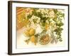 Medicinal Plants-Erika Craddock-Framed Photographic Print