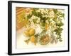 Medicinal Plants-Erika Craddock-Framed Photographic Print