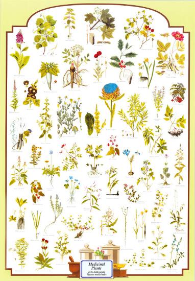 Poster, , large
