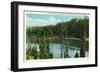 Medicine Bow National Forest, Wyoming, View of Silver Lake and Snowy Range-Lantern Press-Framed Art Print