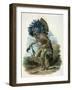 Medicine Man of the Mandan Tribe in the Costume of the Dog Dance, 1834-Karl Bodmer-Framed Giclee Print