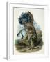 Medicine Man of the Mandan Tribe in the Costume of the Dog Dance, 1834-Karl Bodmer-Framed Giclee Print