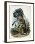 Medicine Man of the Mandan Tribe in the Costume of the Dog Dance, 1834-Karl Bodmer-Framed Giclee Print