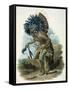 Medicine Man of the Mandan Tribe in the Costume of the Dog Dance, 1834-Karl Bodmer-Framed Stretched Canvas