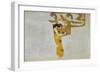 Medicine, Part of the Ceiling Fresco for the Vienna University, 1900/07-Gustav Klimt-Framed Giclee Print