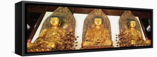 Medicine, Sakyamuni and Amithaba Gold Buddha Statues, Heavenly King Hall, Shanghai, China-Gavin Hellier-Framed Stretched Canvas