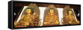 Medicine, Sakyamuni and Amithaba Gold Buddha Statues, Heavenly King Hall, Shanghai, China-Gavin Hellier-Framed Stretched Canvas