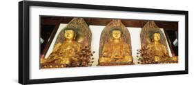 Medicine, Sakyamuni and Amithaba Gold Buddha Statues, Heavenly King Hall, Shanghai, China-Gavin Hellier-Framed Photographic Print