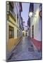 Medieval Alleyway-Rob Tilley-Mounted Photographic Print