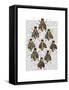 Medieval Bees-Fab Funky-Framed Stretched Canvas