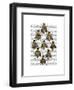 Medieval Bees-Fab Funky-Framed Art Print