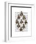 Medieval Bees-Fab Funky-Framed Art Print