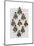 Medieval Bees-Fab Funky-Mounted Art Print