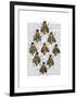 Medieval Bees-Fab Funky-Framed Art Print