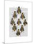 Medieval Bees-Fab Funky-Mounted Art Print