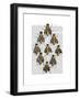 Medieval Bees-Fab Funky-Framed Art Print