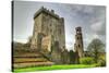Medieval Blarney Castle in Co. Cork - Ireland-Patryk Kosmider-Stretched Canvas