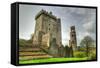 Medieval Blarney Castle in Co. Cork - Ireland-Patryk Kosmider-Framed Stretched Canvas