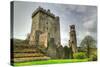 Medieval Blarney Castle in Co. Cork - Ireland-Patryk Kosmider-Stretched Canvas