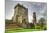 Medieval Blarney Castle in Co. Cork - Ireland-Patryk Kosmider-Mounted Photographic Print