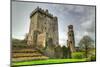 Medieval Blarney Castle in Co. Cork - Ireland-Patryk Kosmider-Mounted Photographic Print