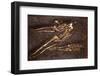 Medieval burial site, Ebor Brewery, York, 20th century-CM Dixon-Framed Photographic Print