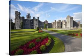 Medieval Castle, Ireland-rihardzz-Stretched Canvas