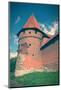 Medieval Castle-Tupungato-Mounted Photographic Print