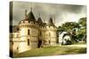 Medieval Chaumont Castle - Artistic Toned Picture-Maugli-l-Stretched Canvas