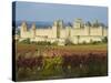 Medieval City of Carcassonne, UNESCO World Heritage Site, Aude, Languedoc-Roussillon, France, Europ-Tuul-Stretched Canvas