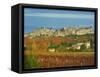 Medieval City of Carcassonne, UNESCO World Heritage Site, Aude, Languedoc-Roussillon, France, Europ-Tuul-Framed Stretched Canvas