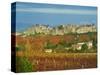 Medieval City of Carcassonne, UNESCO World Heritage Site, Aude, Languedoc-Roussillon, France, Europ-Tuul-Stretched Canvas