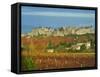 Medieval City of Carcassonne, UNESCO World Heritage Site, Aude, Languedoc-Roussillon, France, Europ-Tuul-Framed Stretched Canvas