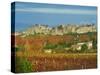 Medieval City of Carcassonne, UNESCO World Heritage Site, Aude, Languedoc-Roussillon, France, Europ-Tuul-Stretched Canvas