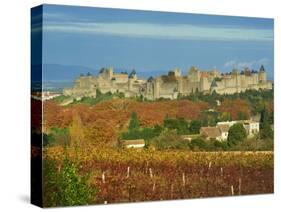 Medieval City of Carcassonne, UNESCO World Heritage Site, Aude, Languedoc-Roussillon, France, Europ-Tuul-Stretched Canvas